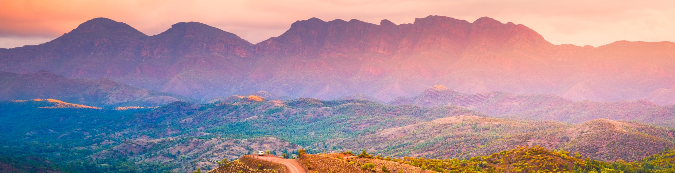 Icon Web Design Adelaide. An image of the beautiful Flinders Ranges for Days Eggs.