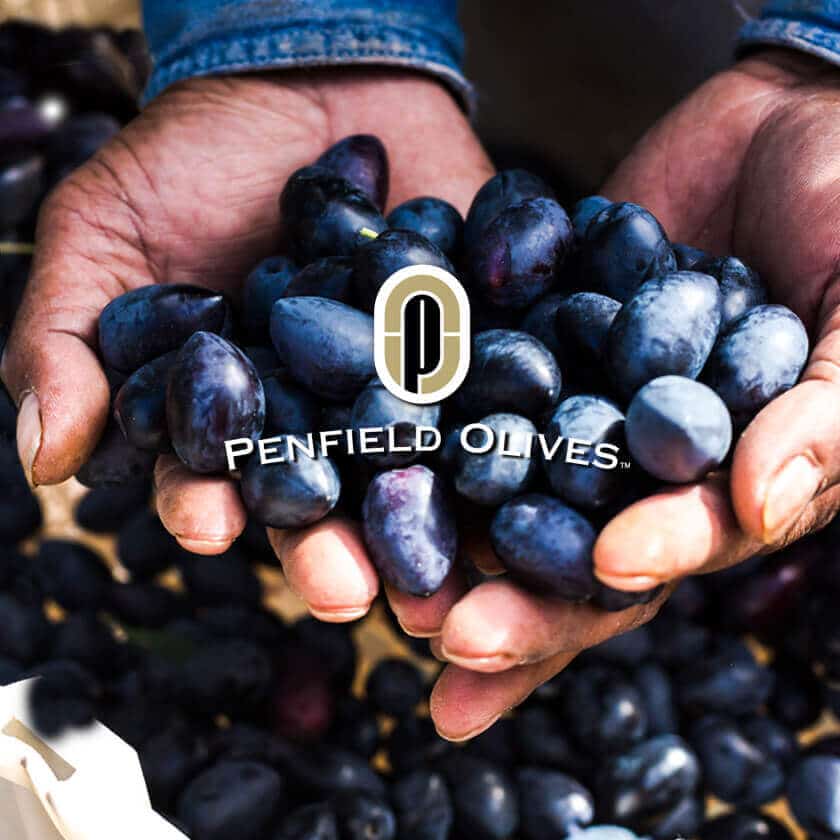 Icon Web Design Adelaide. Image of an Asian man with his hands full of Penfield Olives