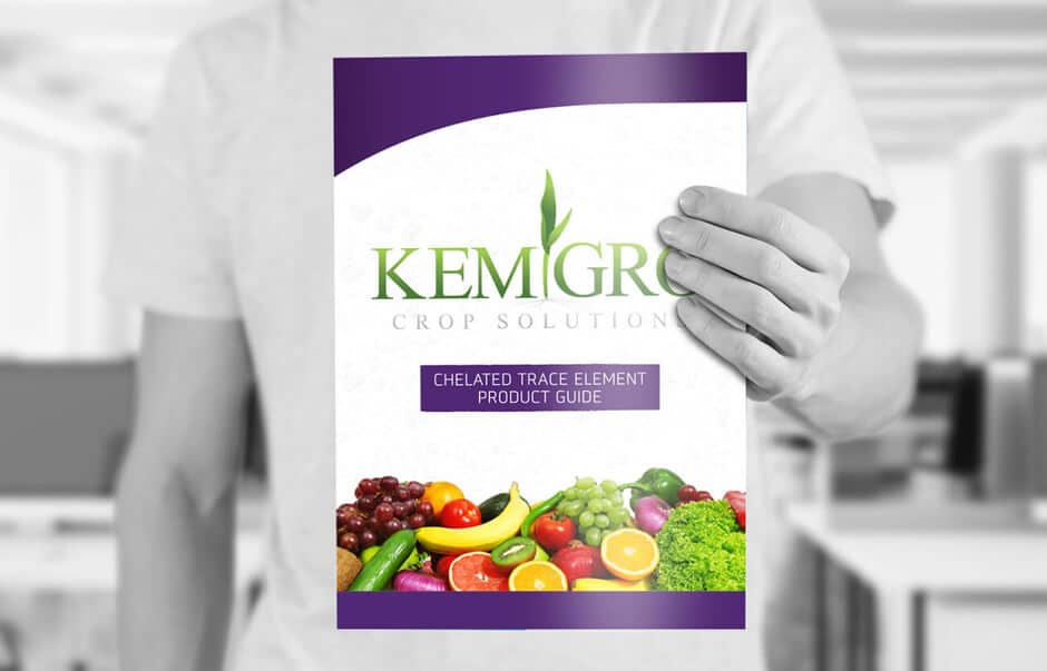 Icon Graphic Design - Brochure Design Adelaide image of a Kemgro brochure's front page.