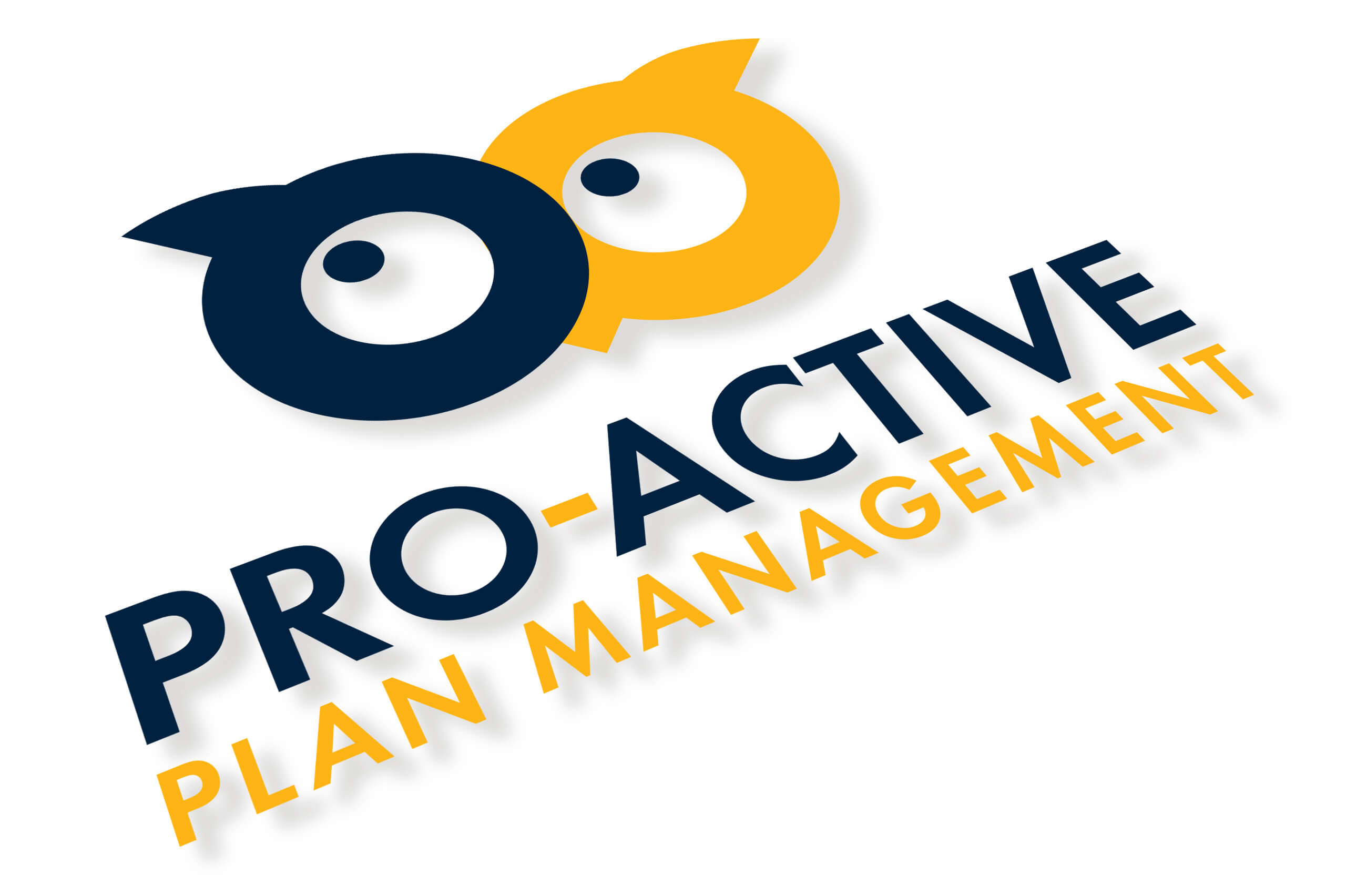 Icon Graphic Design Adelaide - Logo design page image of Pro Active Plan Management logo.