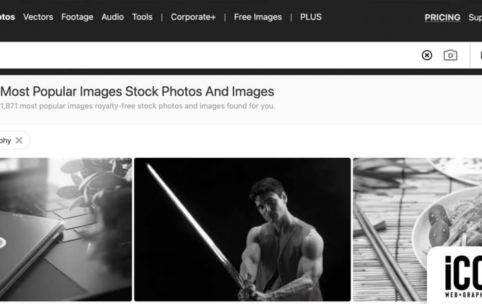 Icon Graphic Design Adelaide Blog - Good Website images are Important, image of a stock images site webpage interface.